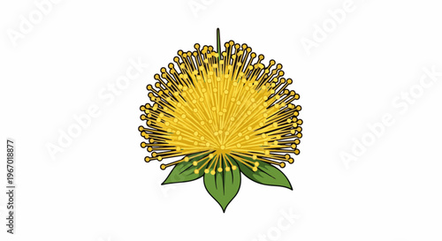 A vibrant yellow flower with delicate stamens and green sepals