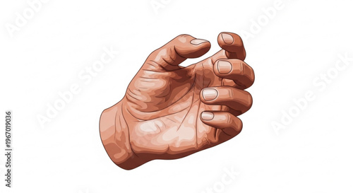Detailed vector illustration of a human hand in a natural, slightly curled grasping pose, showcasing realistic skin texture and anatomical details for diverse graphic design