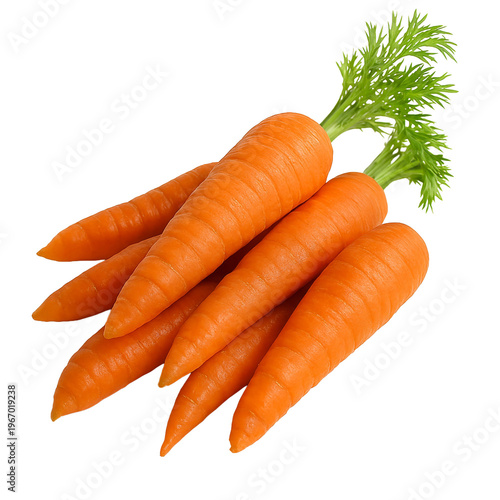 Fresh orange carrots with green tops, healthy vegetable food ingredient.