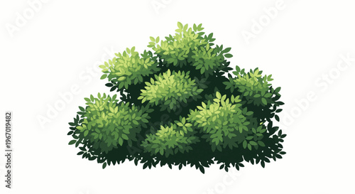 Lush green bush with varied leaf textures and shadows on white background