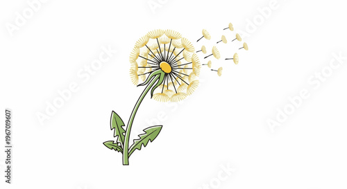 Yellow dandelion with seeds blowing away in the wind