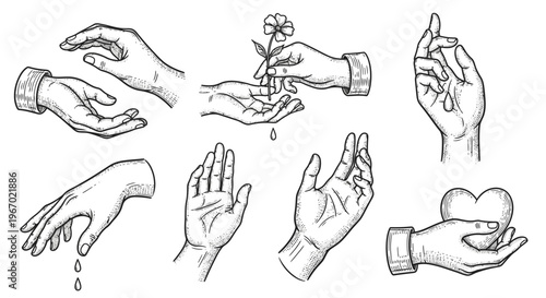 Collection of hand illustrations offering various gestures and interactions