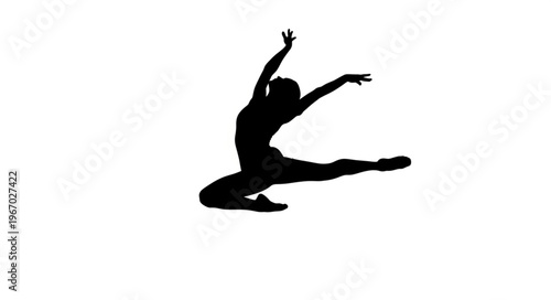 Silhouette of a dancer in mid leap with arms outstretched.
