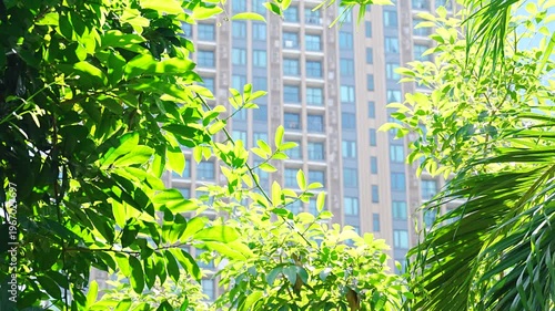 Urban ecology concept with lush foliage against city condominium