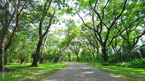 Peaceful Public Park with Lush Green Trees and Paved Walking Path in Sunlight
