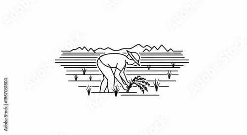 Farmer harvesting rice in a field with mountains in the background
