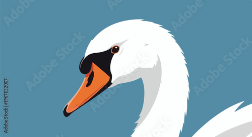 Elegant white swan head with orange beak against a blue background