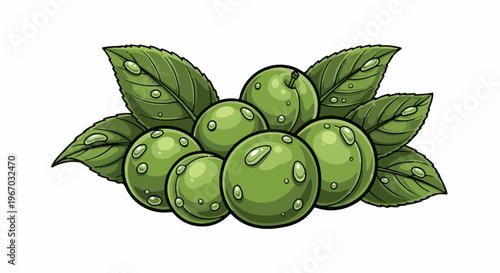 Fresh green olives with dew drops on leaves