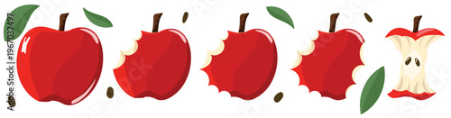 Apples set, illustration of eaten fruit. Bitten apple, Sliced apple. Stages of apple eating