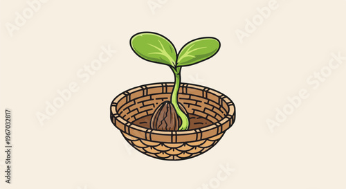 Seedling sprouts from seed in a woven basket with soil