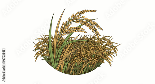 Golden stalks of ripe rice and green leaves under natural light