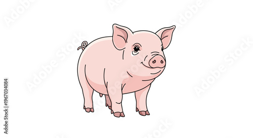 Friendly pink pig standing and looking forward is shown in a clean cartoon illustration style isolated on a solid white background.