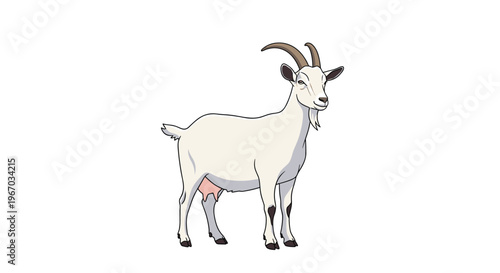 Illustration of a white domestic goat with curved horns and an udder standing in a profile view on a minimalist white background.