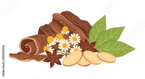 A collection of cinnamon bark, chamomile flowers, green leaves, star anise pods, and sliced ginger root is arranged on a white background.