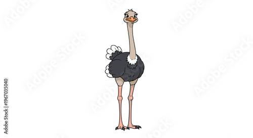 Friendly cartoon ostrich standing tall with long legs and a slim neck looking forward against a plain white background.