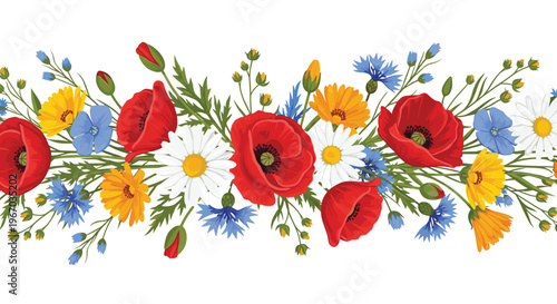 Beautiful wildflower border with red poppies daisies and cornflowers on white background for floral frame or banner.