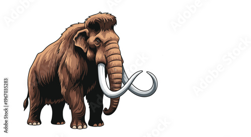Powerful woolly mammoth illustration with large tusks isolated on white background for history or wildlife themes.