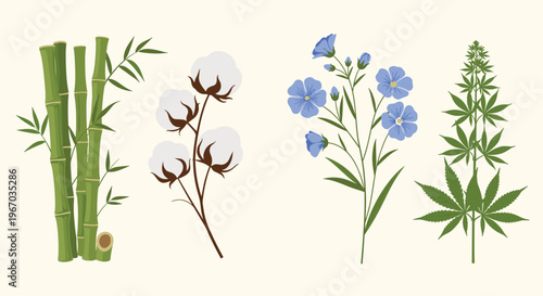 Fiber plants collection including bamboo cotton flax and hemp illustration on light background for eco textile themes.