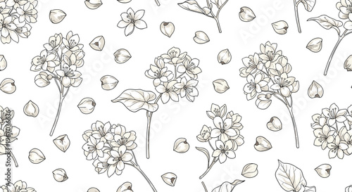Seamless pattern of hand drawn buckwheat plant with white flowers and grains on white background for healthy organic food and cereal theme.