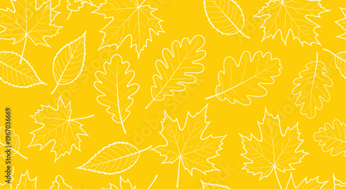 Seamless pattern of white leaf outlines including maple oak and birch on bright yellow background for autumn foliage and forest theme design.