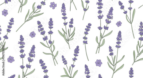 Beautiful seamless pattern with hand-drawn lavender flowers and sprigs on a white background for herbal product design.