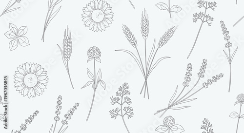 Delicate seamless pattern with various wild flower and herb sketches in black on a light grey background for design.
