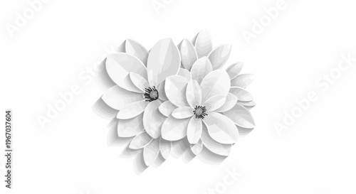 Delicate white flower blossoms with detailed petals and dark centers