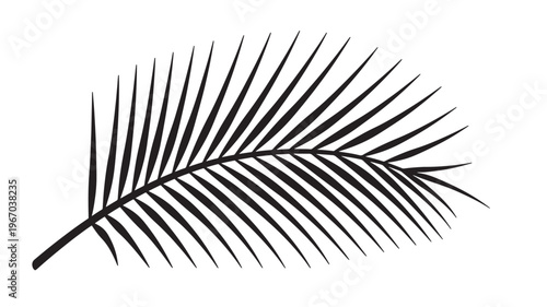 Palm frond silhouette on a white background, showcasing its delicate and stylized feather-like appearance in a stark black graphic.