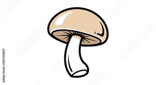 A single, shorter mushroom with a broadly domed light brown cap and a stout white stem is centered on a pristine white background.