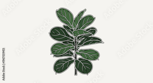 Minimalist illustration of a fiddle leaf fig plant with dark green leaves