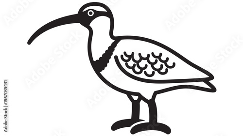 Curlew bird simplified black and white line art icon with a long curved beak and patterned plumage standing on legs
