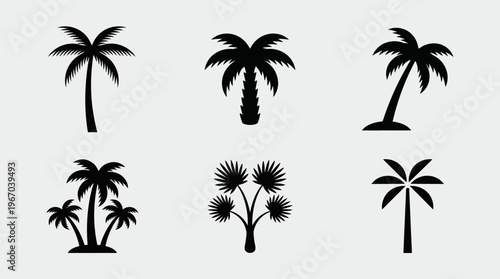 Six black silhouette icons of various palm trees on a light background, representing tropical and beach environments.