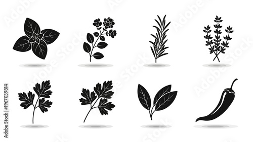 Set of botanical and herbal illustrations in black silhouette style with assorted leaves and chili