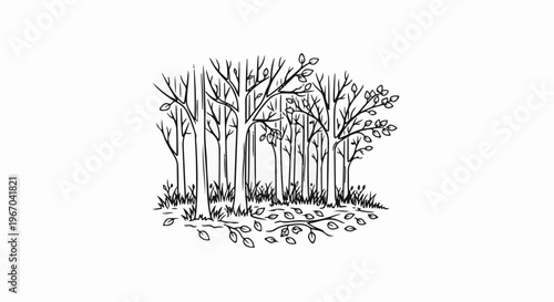 A simple black and white sketch of a forest scene with bare trees and fallen leaves