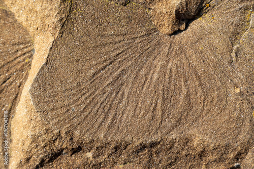 Weathered sandstone rock texture with layered erosion patterns and natural ri...