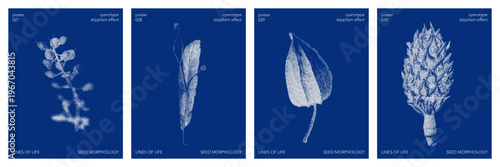 Cyanotype stipple graphic poster set collection. Overlay effect, deep blue color, plant seed details. Vector templates for card, social media, banner, cover