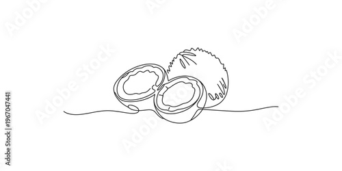 Continuous line drawing of a cut and whole macadamia nut on a flat surface art