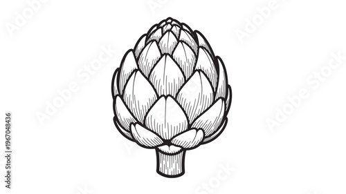 Artichoke drawing with detailed floral petals and a thick stem in a clean, minimalist black and white illustration style