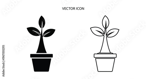 a potted plant with leaves on a stem Vector