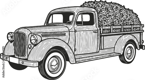 Vintage pickup truck loaded with leaves in the bed detailed black and white illustration