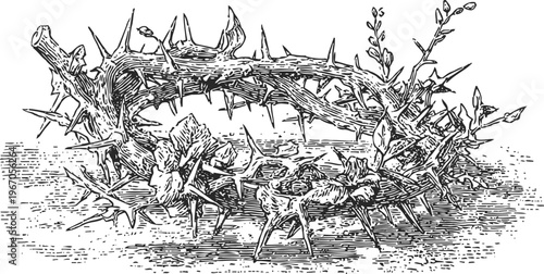 Crown of thorns with sharp spikes and scattered leaves, detailed black and white vintage illustration