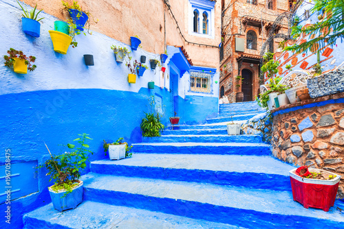 Chefchaouen, Morocco. Blue staircase and wall decorated with colourful flowerpots, North Africa travel place.