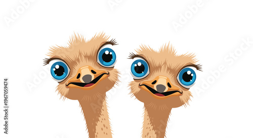 Two cartoon ostriches with large blue eyes and ruffled brown feathers are smiling and looking forward against a plain white background.