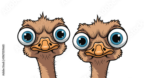 Two cartoon ostriches with large blue eyes and textured brown feathers are looking forward with neutral expressions against a plain white background.