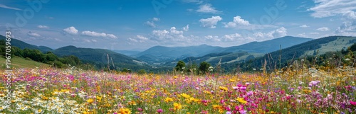Fotografie Vibrant wildflower meadow in mountain valley under clear blue sky