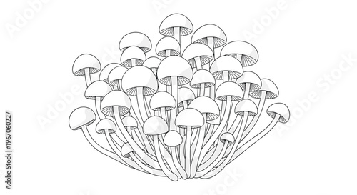 A dense cluster of many small, white, cartoon-style mushrooms with rounded caps and thin stems is depicted against a plain white background.