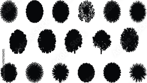 Silhouettes of diverse tree shapes with rounded, bushy, irregular, and spiky canopies viewed from side and top perspectives artwork