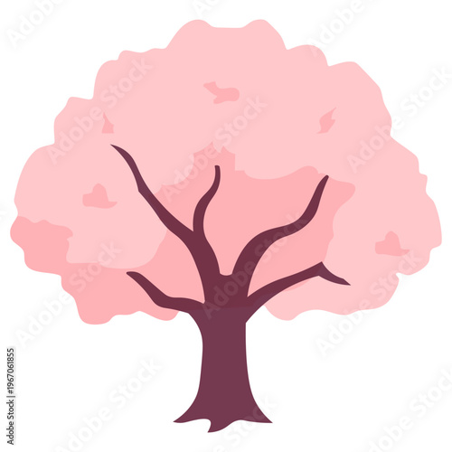 Full Bloom Sakura Tree Cherry Blossom Japanese Spring Vector