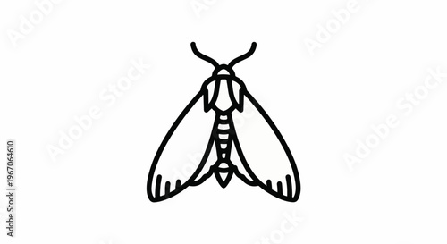Minimalist outline illustration of a moth with spread wings