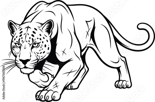 Intense Jaguar Stalking Forward in Dynamic Pose.